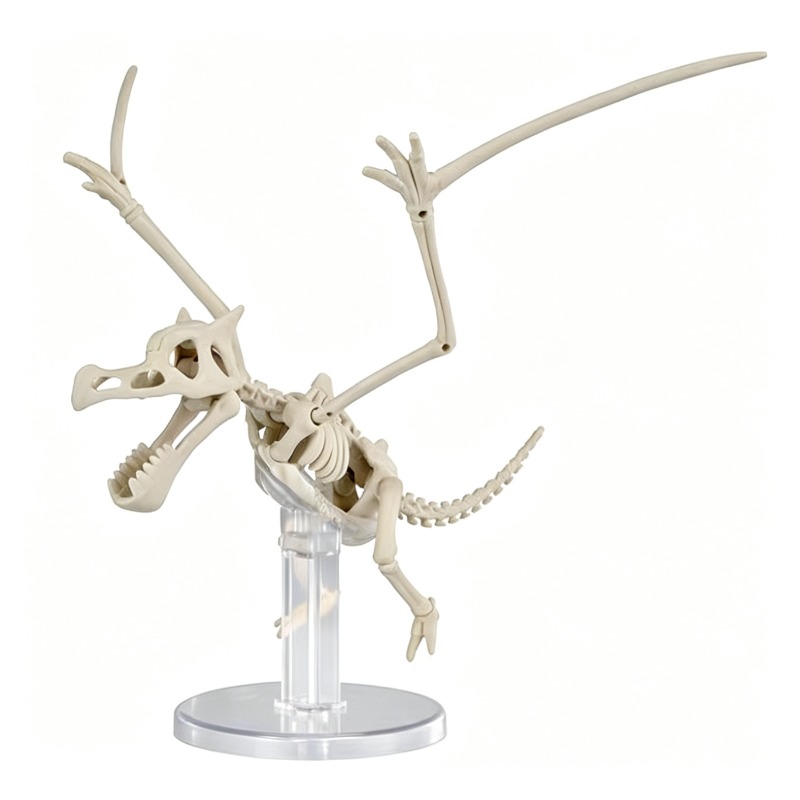 반다이 포켓몬 플라스틱 모델 듀올로지: 화석 가치고라스 - Model Kit Rayquaza 리뷰 및 가격